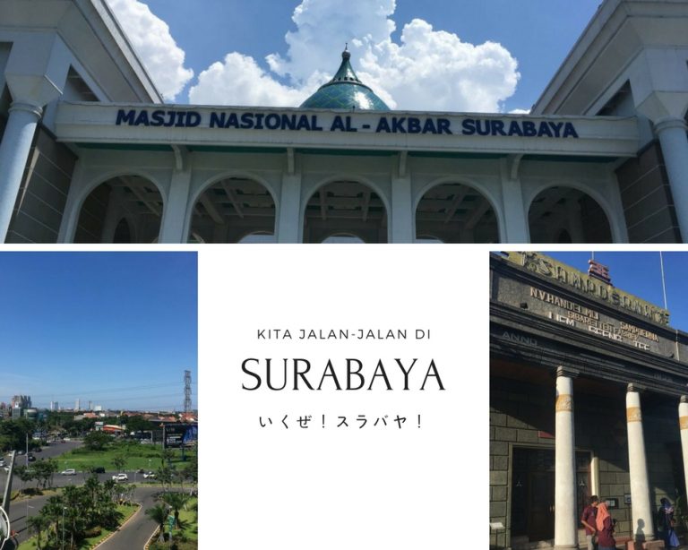 ルシおすすめ!スラバヤの人気観光スポットで遊びまくりました ジャパネシア