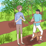 【Komiknya Ke-97】Asiknya menanam singkong (cassava)