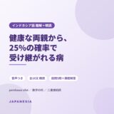 インドネシア語 ニュース聴解 精読 タラセミア 保因者 遺伝